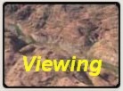 ottonwood anyon, Lake Powell, Hole-ine-the-Rock trail, video clip